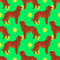 Irish red setter dog seamless pattern