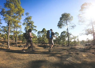 Fototapeta premium Wide back view of a couple trekking on a mountain path. Husband and wife hiking at the park with backpack. Sporty man and woman walk into the mountain forest Travel adventure and togetherness concept