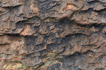 Background rock surface