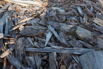 Abstract background with felled wood