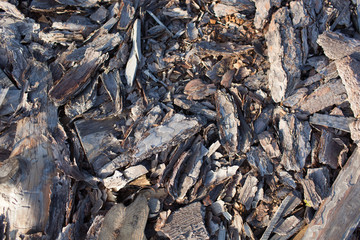 Abstract background with felled wood