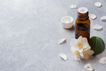 Fototapeta na wymiar Oil of jasmine. Aromatherapy with jasmine oil. Jasmine flowers. Gray concrete background with copy space.