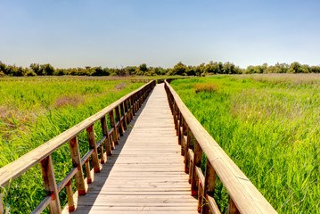 Tablas de Daimiel National Park, Spain