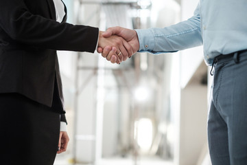 Business people shaking hands as a sign of agreement
