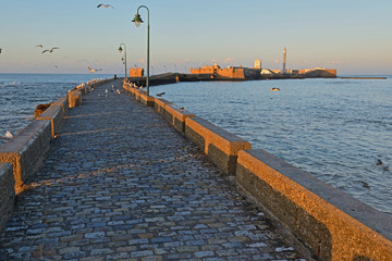 Castle of San Sebastian, Cadiz, Andalucia, Spain  © Tomasz Warszewski