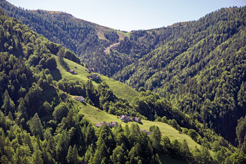 Panoramic view of some mountain pastures in the upper Vigezzo valley, in Piedmont Italy.
