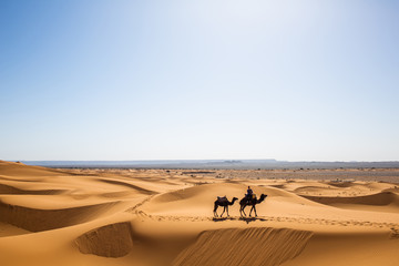 Caravan of one person and two camels in summer Sahara getting to breathtaking international destination, berber nature sands landscape of Safari environment, Arabian adventure in Morocco desert