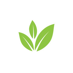 Tree green leaf vector icon.