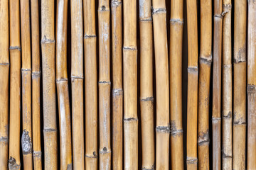 Background of dried twigs of bamboo