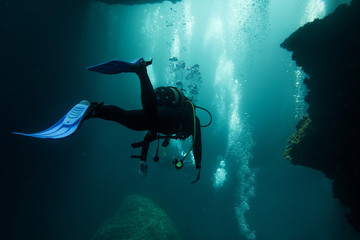 Scuba divers swimming under water