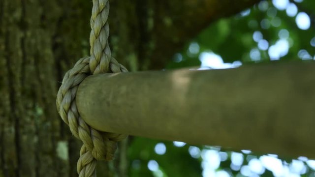 accrocranche