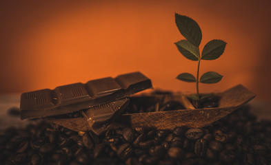 Trozo de chocolate rodeado de granos de café