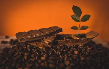 Trozo de chocolate rodeado de granos de café