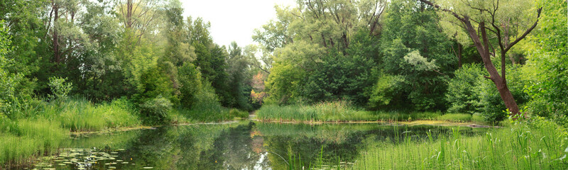 panorama of the river in the forest