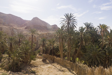 Fototapeta na wymiar Chebika, Matmata, mountains in Tunisia and oasis