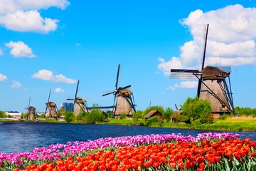 Zelfklevend Fotobehang Colorful spring landscape in Netherlands, Europe. Famous windmills in Kinderdijk village with a tulips flowers flowerbed in Holland. Famous tourist attraction in Holland © Nikolay N. Antonov