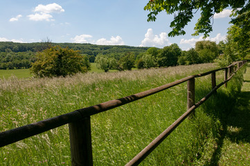 Fototapeta na wymiar fence in a field