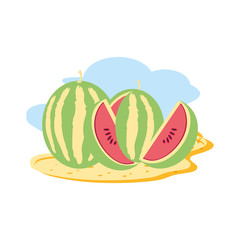 set of fresh watermelons fruit in the beach