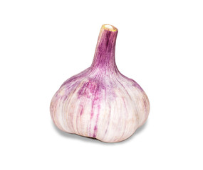 fresh garlic isolated on white background