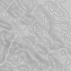 Topographic map lines background. Abstract vector illustration. Contour vector map.