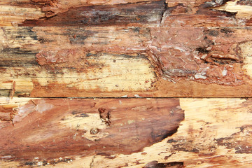 Fototapeta na wymiar yellow brown wooden board texture with cracks, stains and scratches