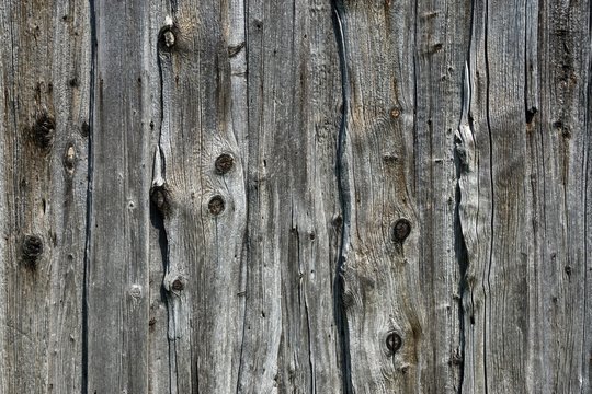 Old weathered wooden planks, wooden slats, on an old barn, Benediktbeuern, Upper Bavaria, Bavaria, Germany, Europe