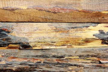 yellow brown wooden board texture with cracks, stains and scratches