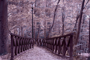 Wooden bridge in the autumn forest on which lies foliage.