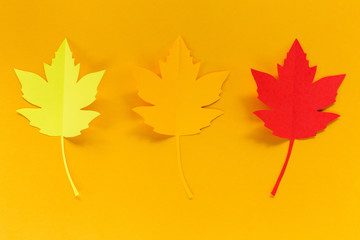 three maple leaves of paper on a orange background, handmade