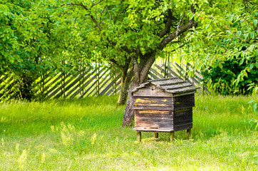 Beehives with bees in a honey farm. Very old, historical empty beehive in the garden. Traditional...