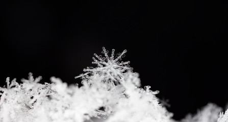 natural snowflakes on snow. the picture is made at a temperature of-10 C 
