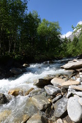 Talwärts. Wilder Bergbach auf dem Weg ins Tal