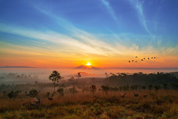 Sunrise over the field of nature on the morning.