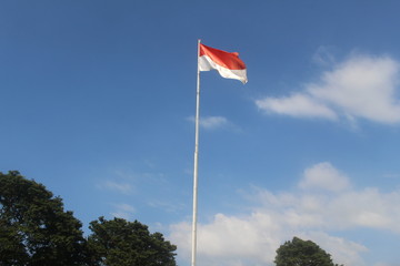 flag in the wind