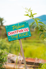 Fototapeta premium The announcing sign with the inscription around the rice fields. The concept of prevention and warning signs