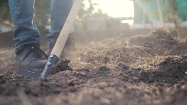 farmer digging the ground with a shovel garden spade close-up. slow motion video. man farmer working in the garden agriculture lifestyle concept summer garden