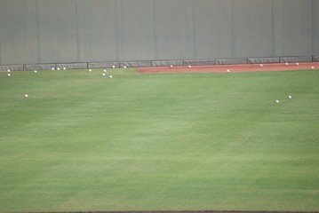 白球とグラウンド