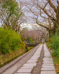 Fototapeta premium Philosopher Path, Kyoto, Japan