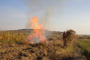 woman wearing dry grass in the field,a woman in the field carries a handful of dry herbs in her hands, burning dry grass in the fall