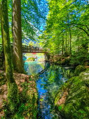 Vista do Lago Blausee na Suiça
