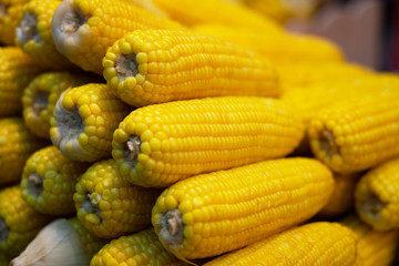 Sweet corn on fruitshelf in supermarket for sale