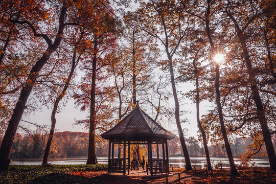 Parc de la t&ecirc;te d'or 4/4