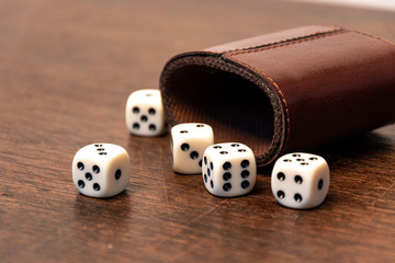 very entertaining table game with dice for family and friends 
