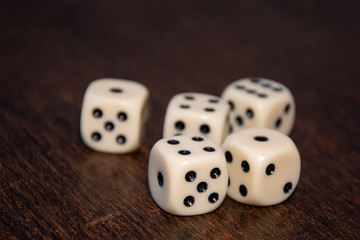 very entertaining table game with dice for family and friends