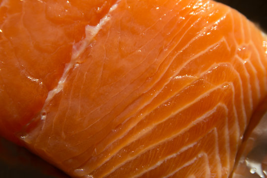 beautiful fresh red fish fillet photo for text