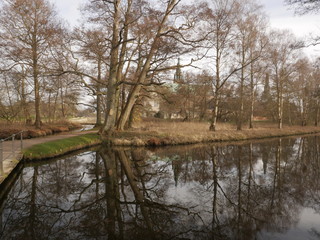Fototapeta na wymiar Lake tree reflection