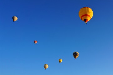 hot air balloons in the sky