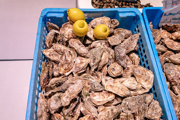 A basket full of fresh oysters with lemons on the market.