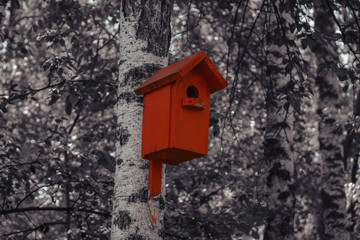 Red color painted birdhouse. Nesting box on tree.