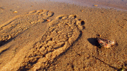 Fototapeta na wymiar In the photo, the image of human footprints